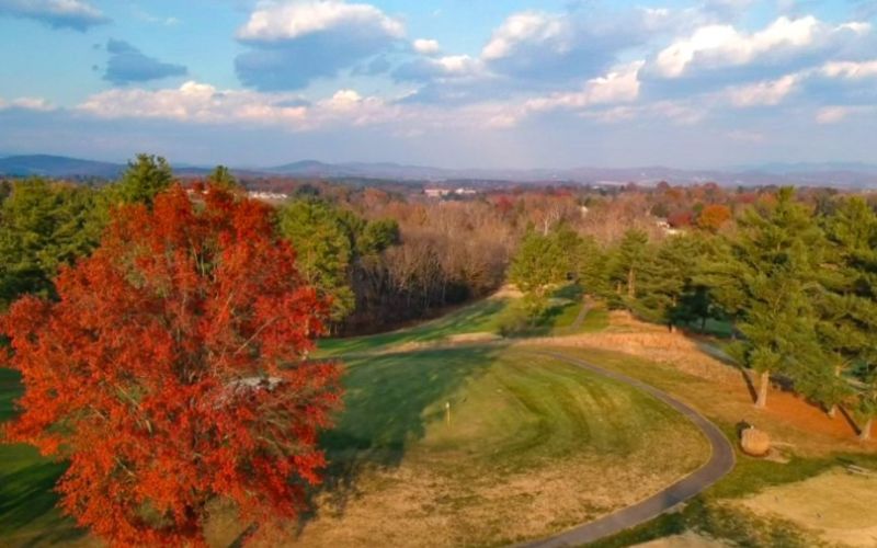 Men's Golf Group