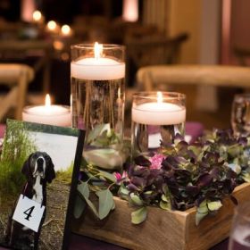 Events 23